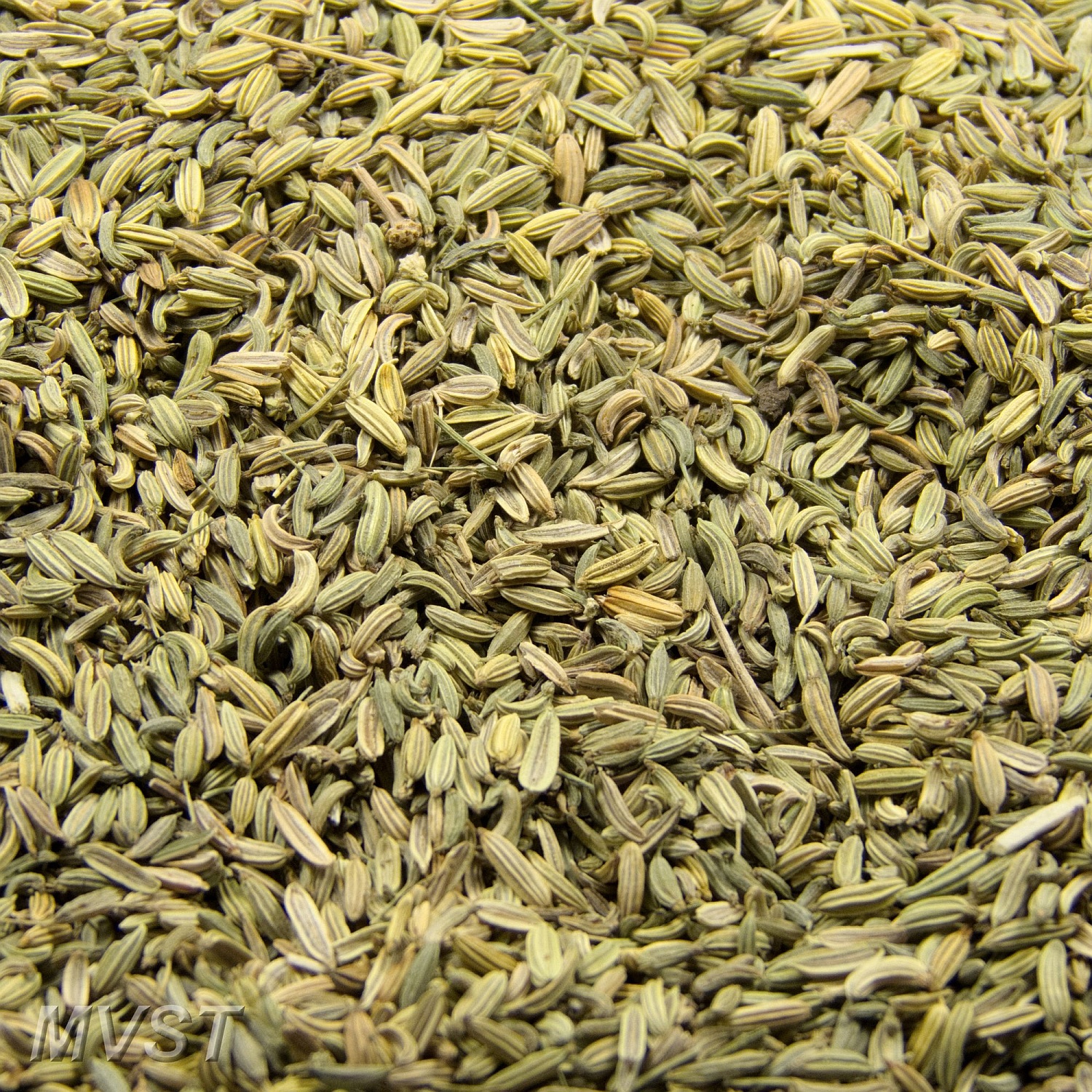 Fenchel ganz 1000 g Fenchel ganz 1000 g