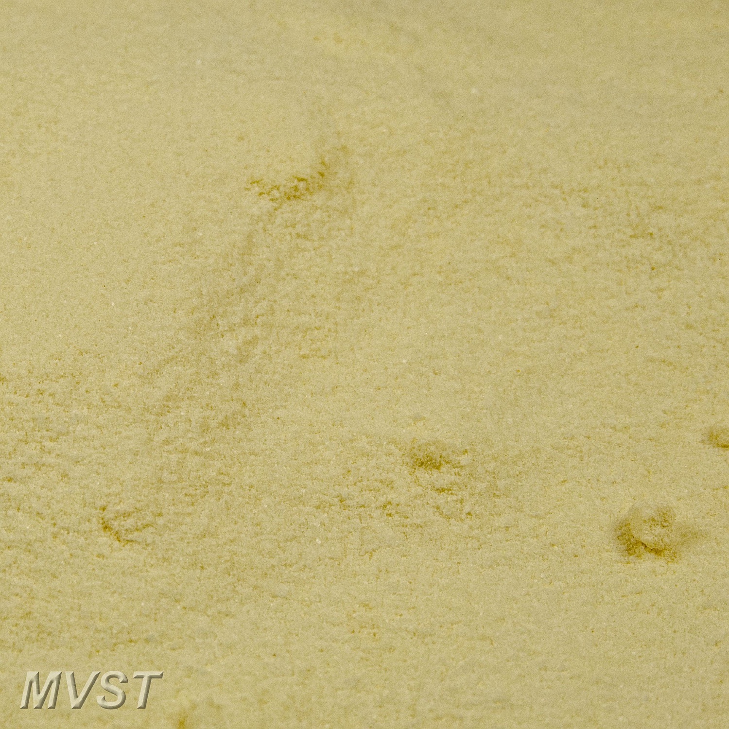 Selleriesalz 1000 g Selleriesalz 1000 g