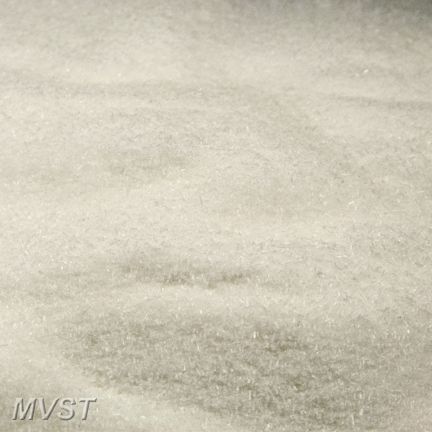 Glutamat 1000 g Glutamat 1000 g