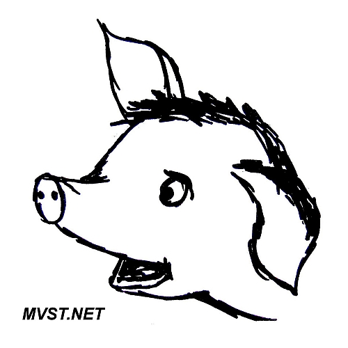 Schweineblasen frisch 50 Stück unsortiert Schweineblasen frisch 50 Stück unsortiert