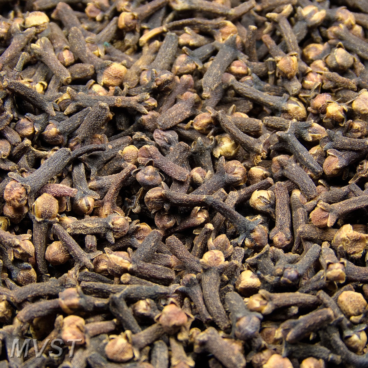 Nelken ganz 1000 g Nelken ganz 1000 g