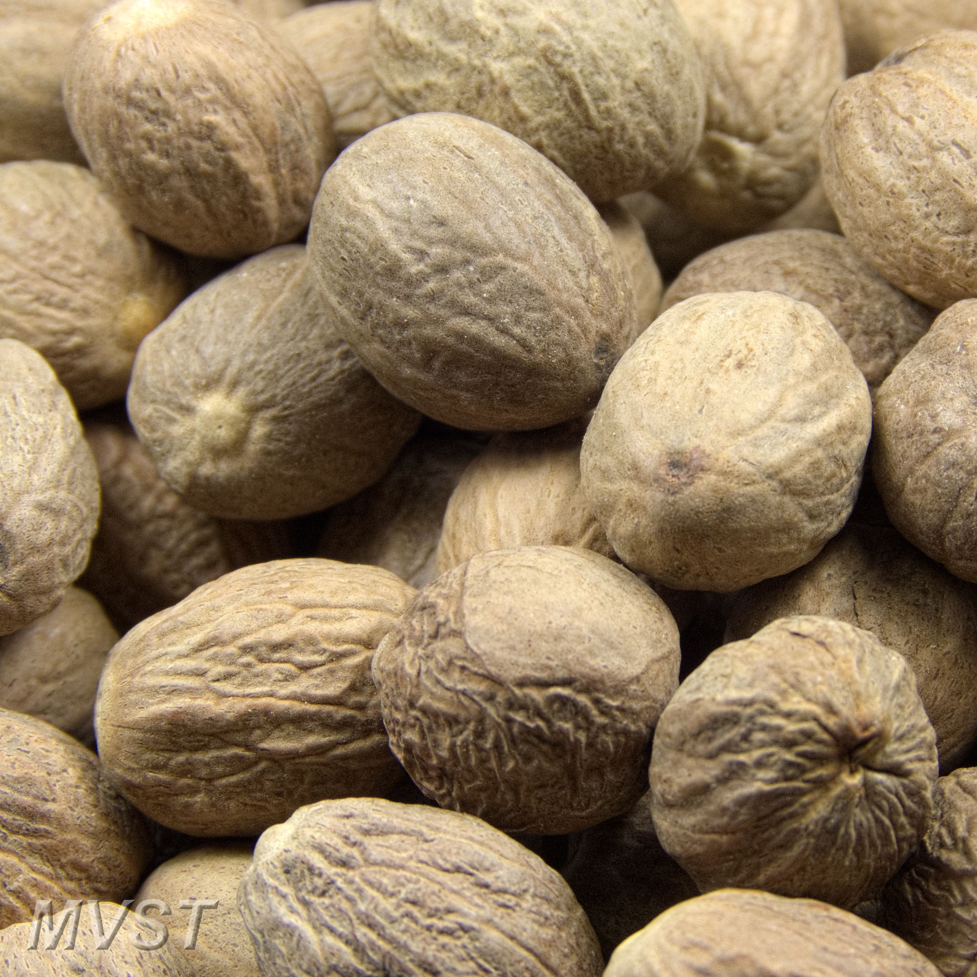 Muskatnüsse 50 g / EAW Muskatnüsse 50 g / EAW